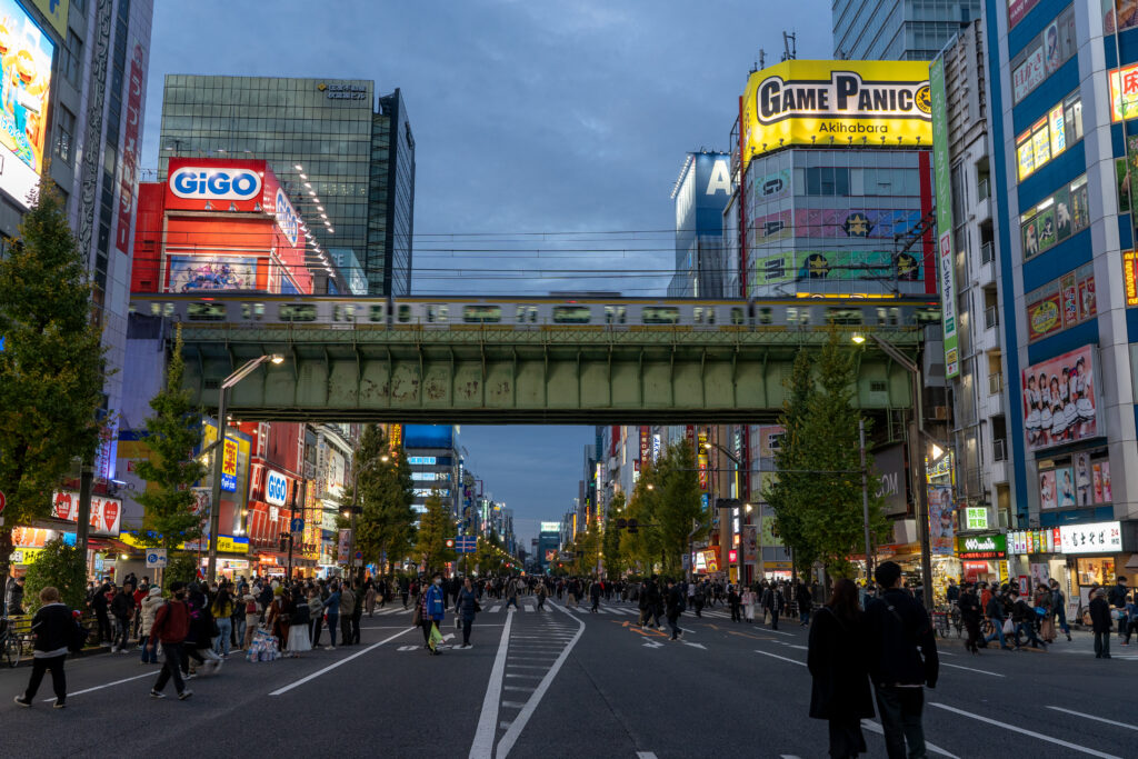 Pedestrian Paradise at Akihabara main street