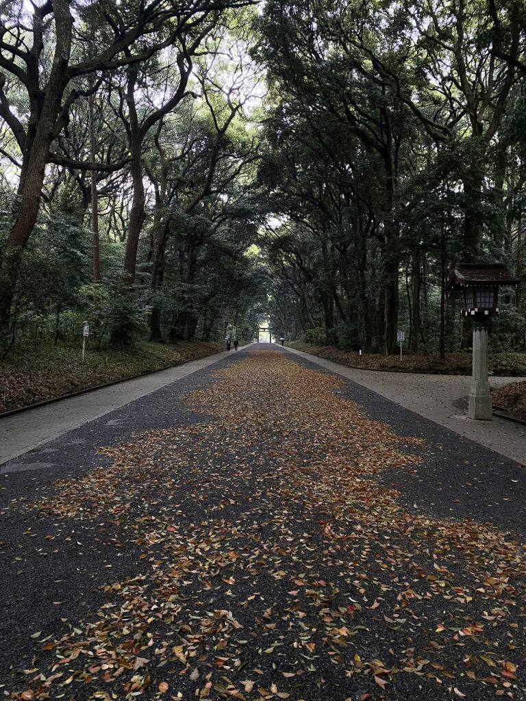 approach to the main Shrine of Meiji Jingu