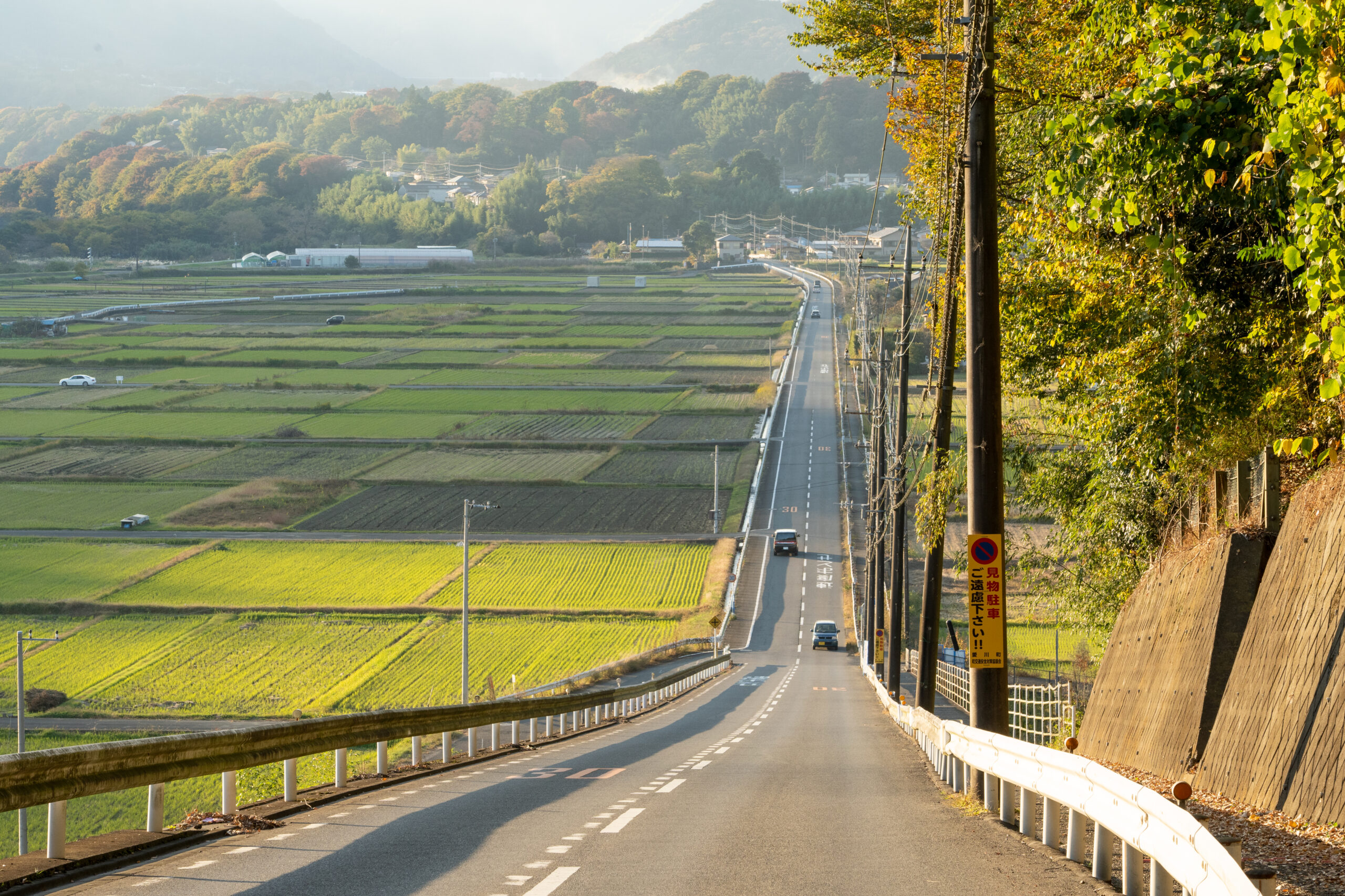 Minowa Arable Land | Traveling Japan