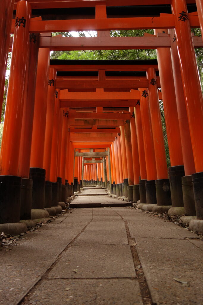 Torii gate at Fushimi Inari Taisha