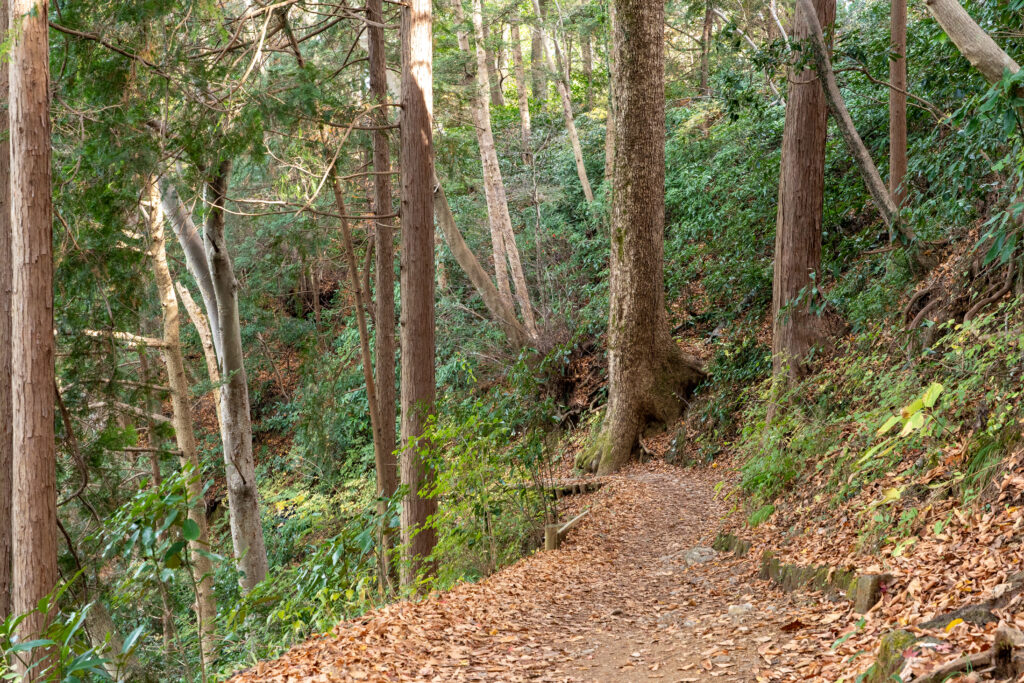 Trail of Mount Takao