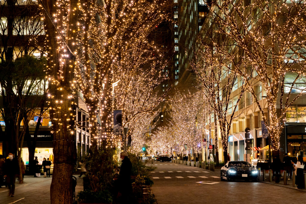Marunouchi Naka-dori Street illumination