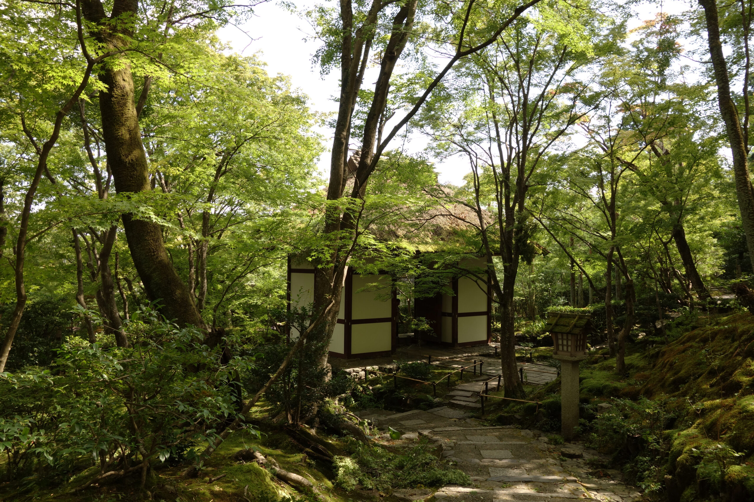 Jojakkoji Temple | Traveling Japan