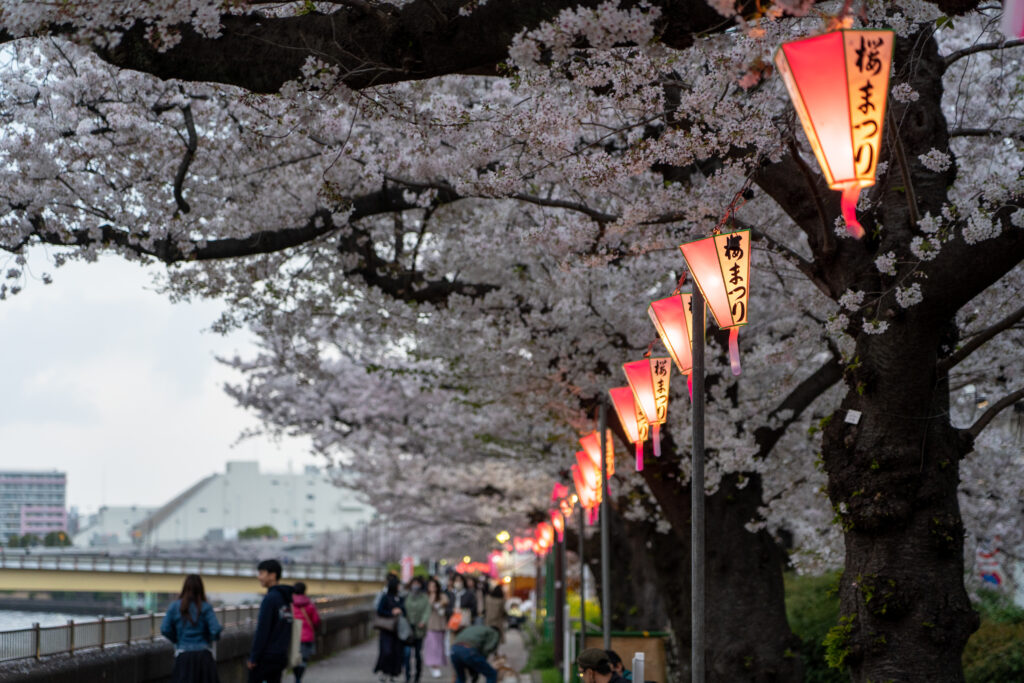 Japanese lantern illuminated at Sumida River
