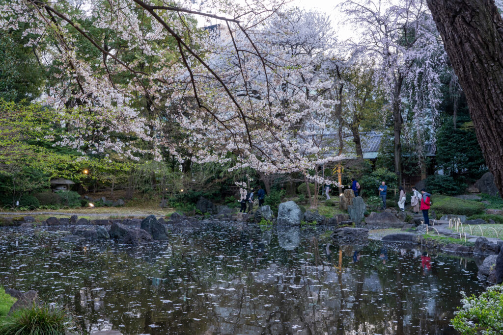 Yasukuni Shrine Sacred Pond Garden