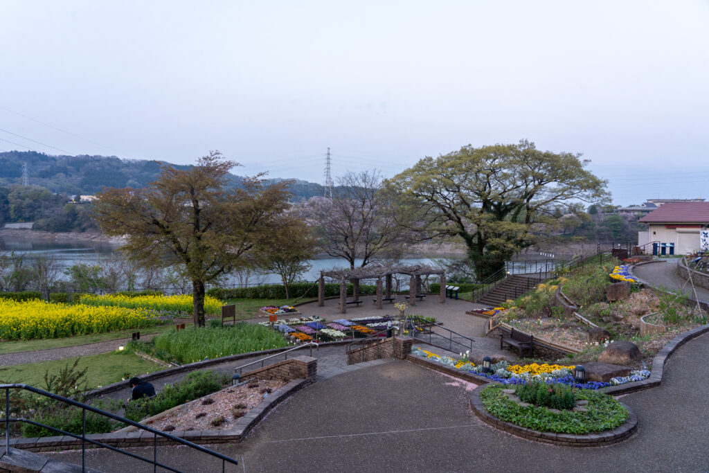 Tsukui Lake Shiroyama Park flower garden