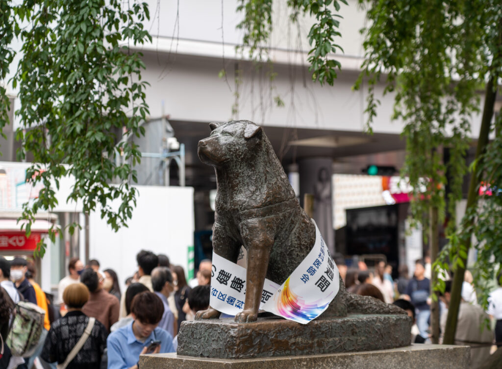 Hachiko Statue at Shibuya